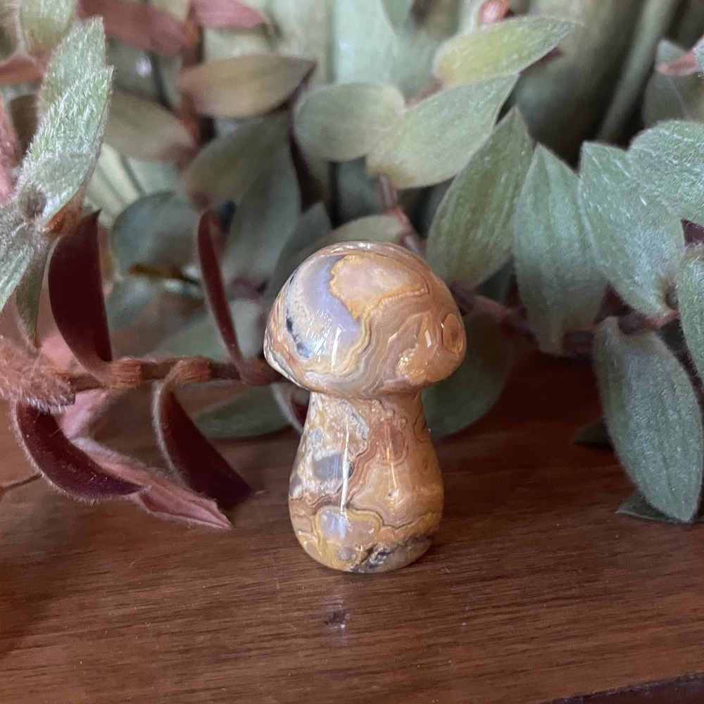 20g‎ Natural gobi agate hand-carved mushroom crystal mineral healing, Miniature